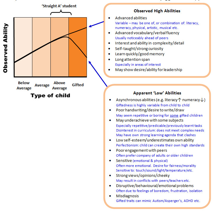 Gifted children - online presentation