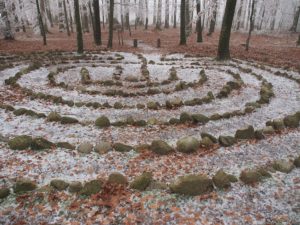 A forest labyrinth
