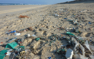 plastic rubbish on the beach