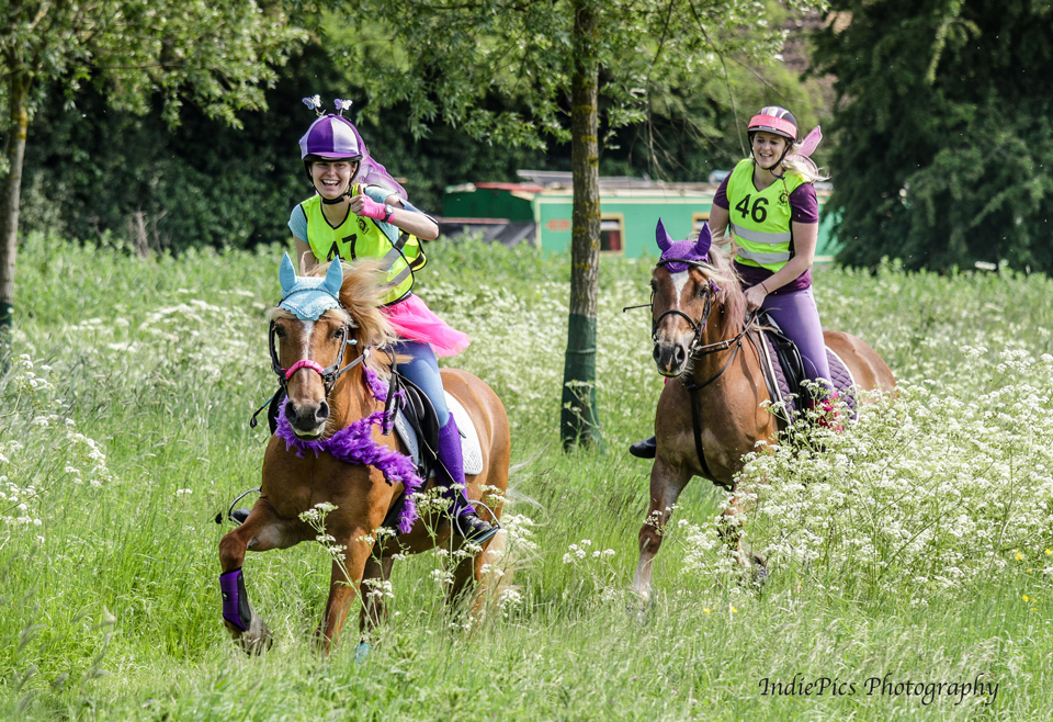 Go Bright Ride 2018 - decorated horses and riders in motion with permission of IndiePics Photography