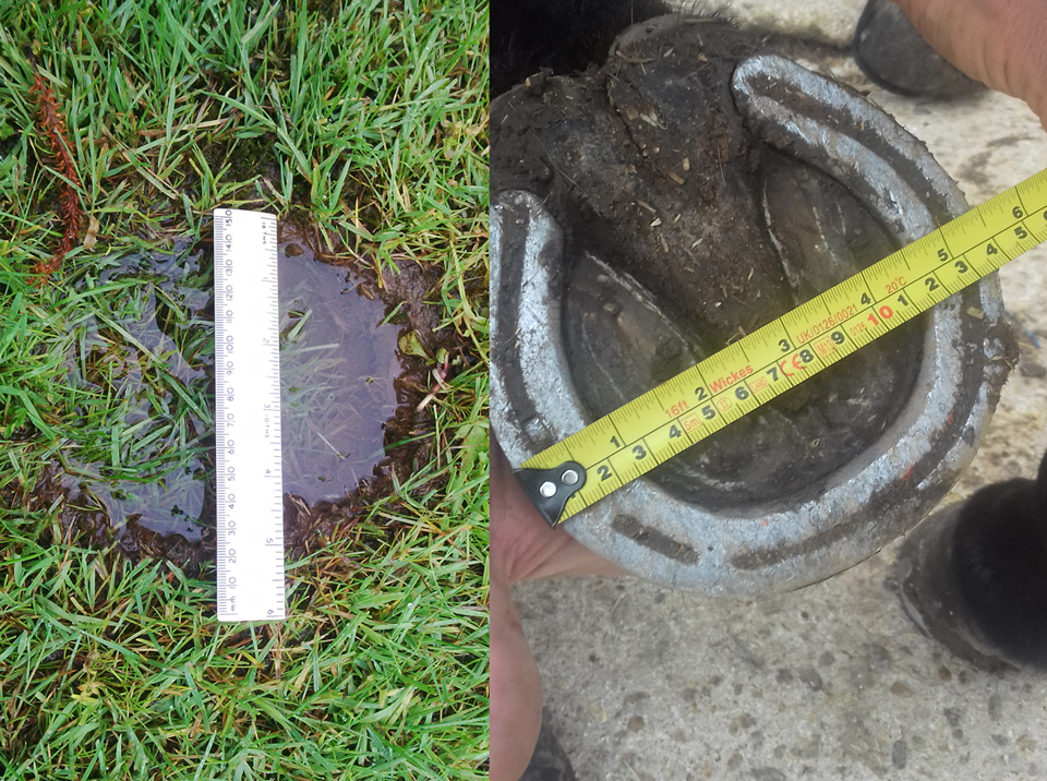 comparing measurements of damage to turf and horses hooves