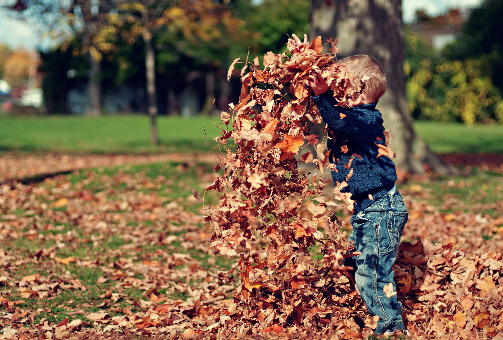 boy throwing up a pile of autumn leaves