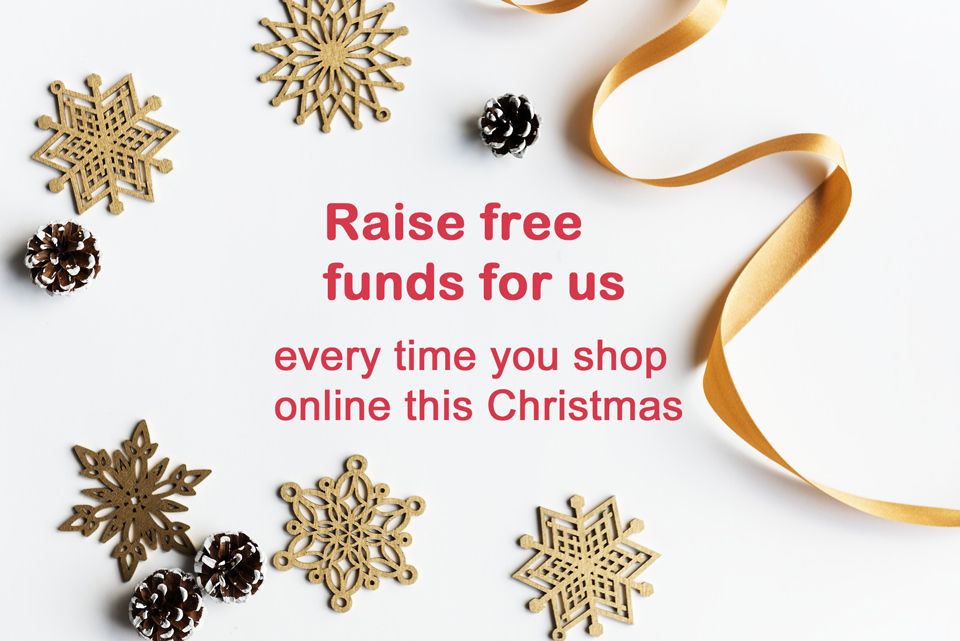 Raise Free Funds for Us Everytime You Shop Online This Christmas