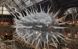 giant e-coli bacterium at the Natural History Museum, Oxford