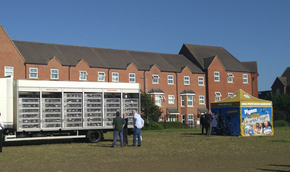 Lords v Commons Pigeon Race 2019 pigeons in their release truck in Bletchley Park