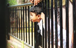 Young child leaning through railings to see something