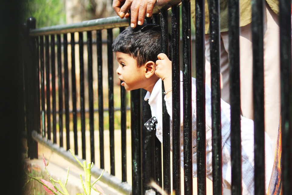 Young child leaning through railings to see something