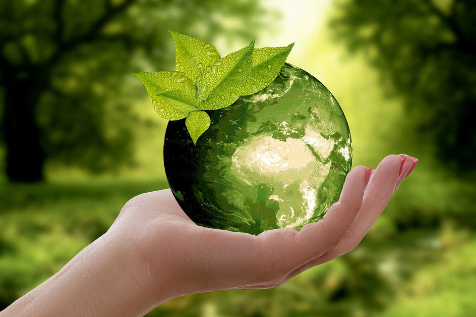 The globe held in a hand, with a green leaf growing on it