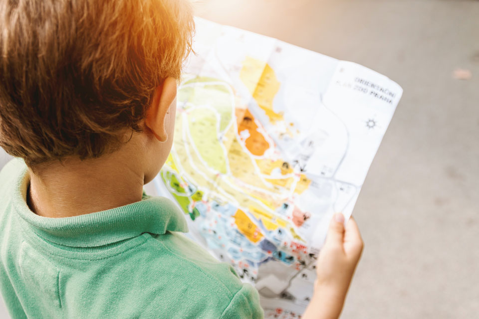 young boy studying a map