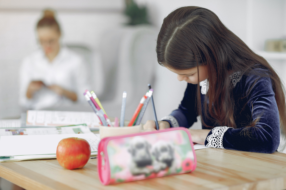 Photo of a girl working hard at her studies ina classroom