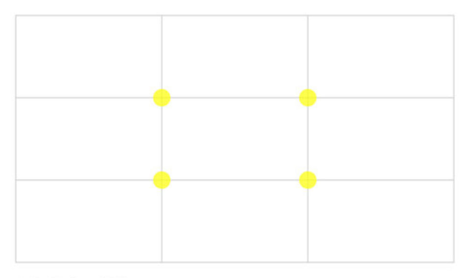 Photographic composition grid