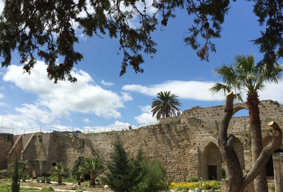 landscape of palm trees in ancient walled garden