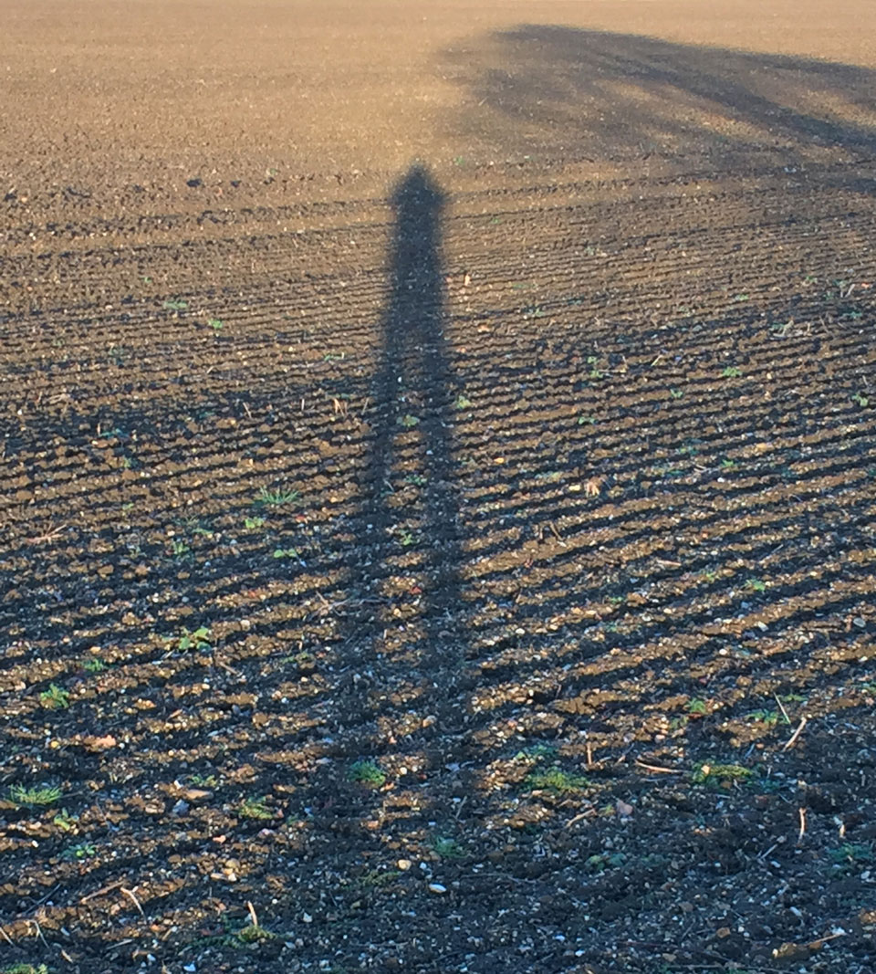 Silhouettes - cast shadows across a field of pylon and furrows