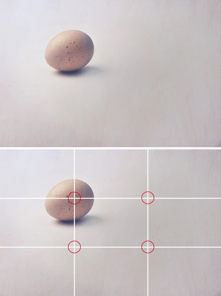 Egg marked with photographic grid showing rule of thirds