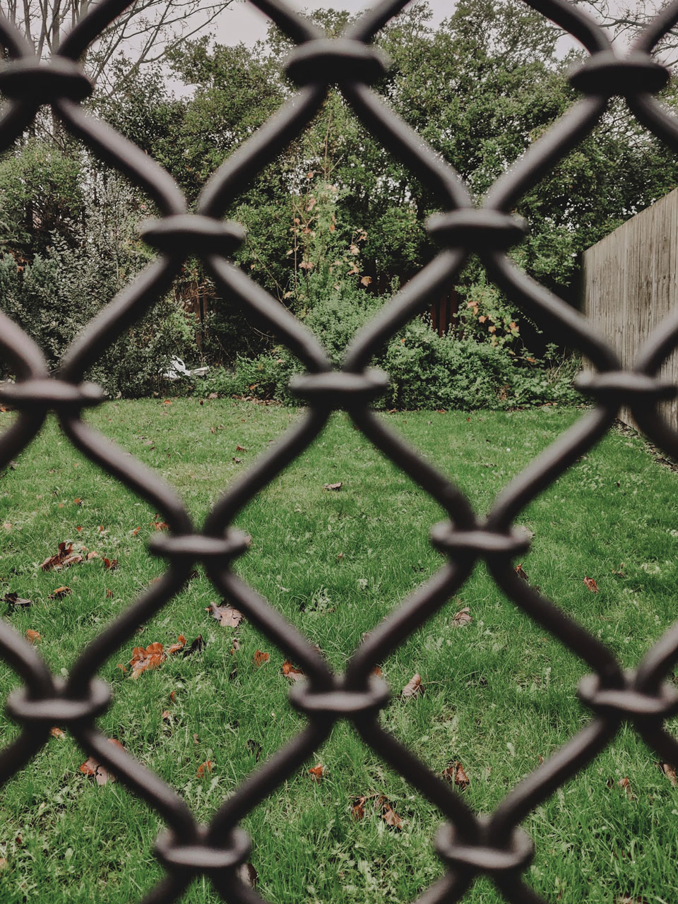 Focus on garden in distance with fence out of focus at forefront