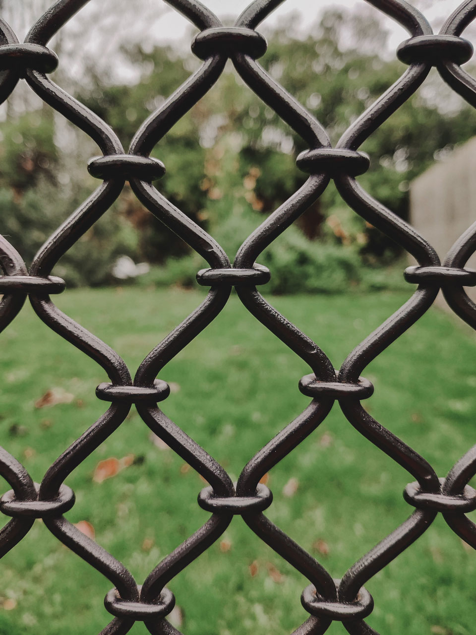 Photo showing focus on a wire fence