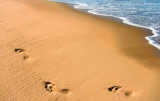 footprints on a beach