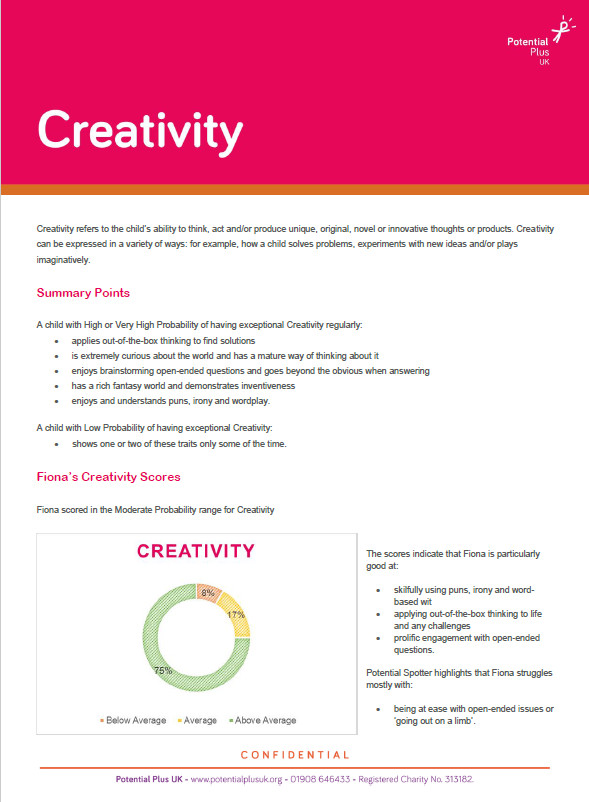Example Creativity Page from Potential Spotter