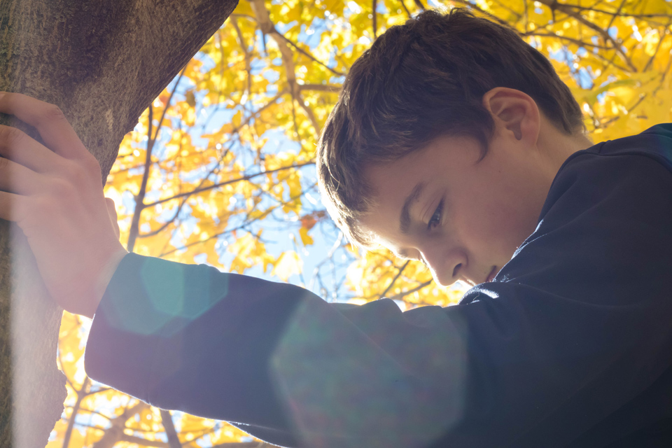 boy holding onto a treetrunk