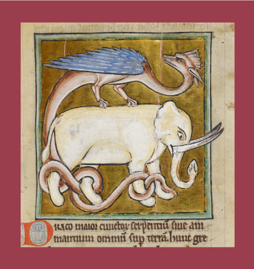 dragon and white elephant