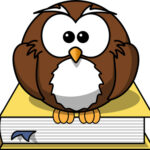 Cartoon Owl sitting on a book