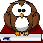 Cartoon Owl sitting on a book