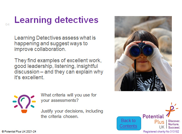 Learning Detectives
