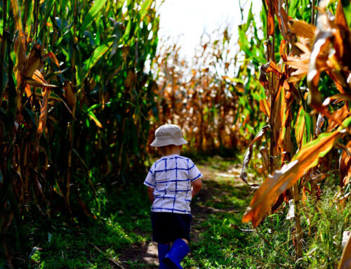 Navigating the Maze Ahead for Your Child with DME