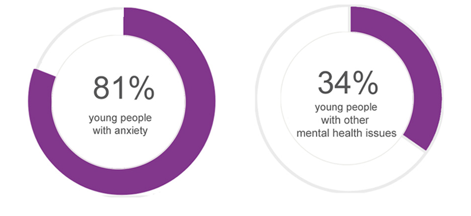 Progress circles 81% young people with anxiety, 34% young people with other mental health issues