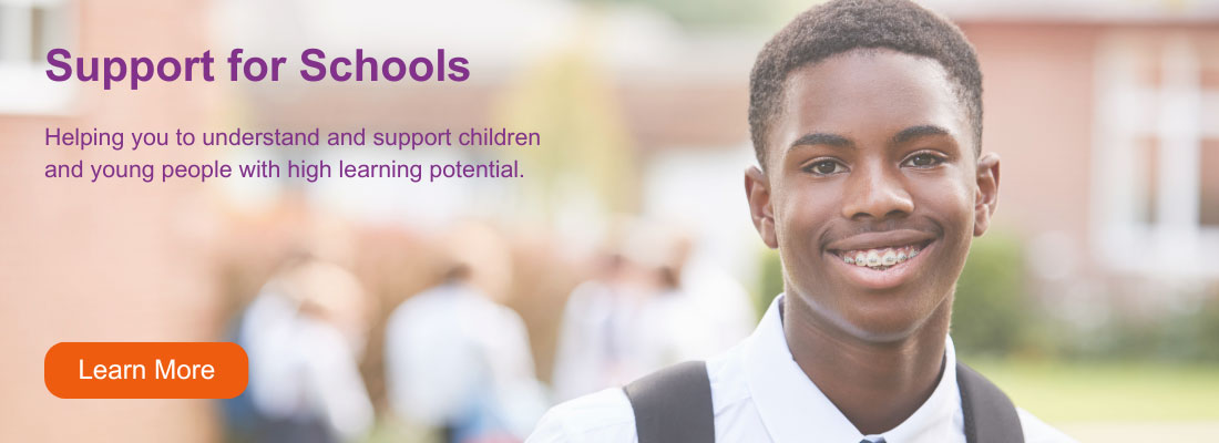 Smiling teenage boy; Wording: Support for Schools helping you to understand and support children and young people with high learning potential